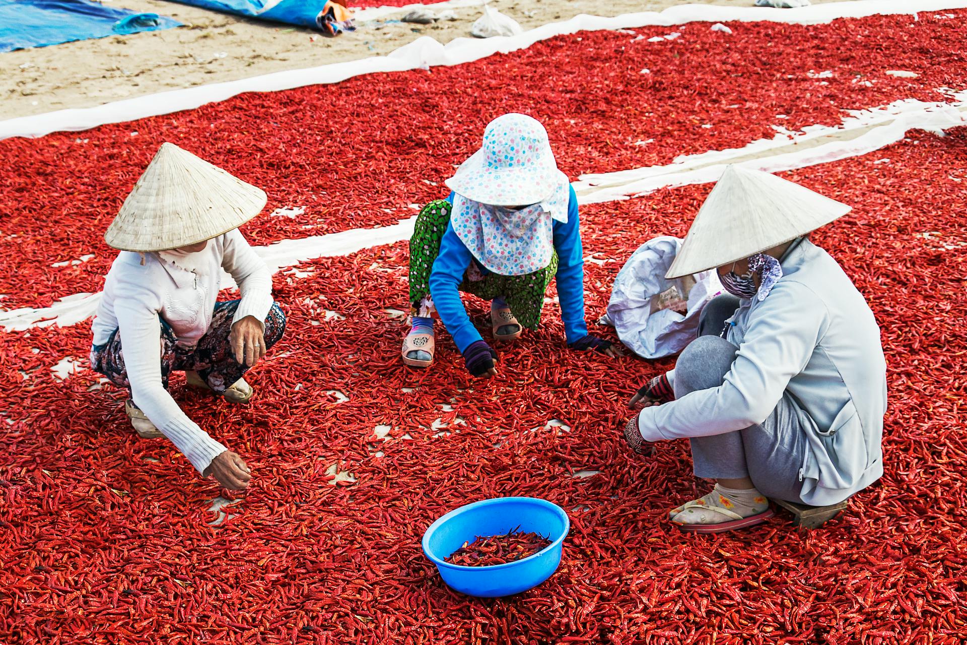 Learn An Giang’s heritage with expert insights